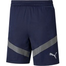 Puma teamFINAL
