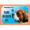 Tabuľka Dafiko bernardín (1 ks)