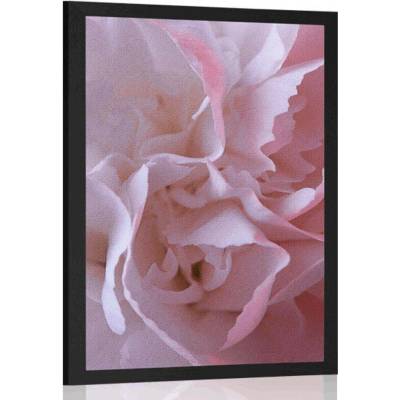 Plakát lupínky karafiátu - 40x60 white