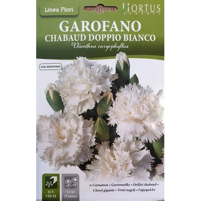 Hortus Карамфил Шабо Бял Chabaud Doppio Bianco
