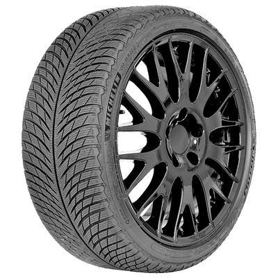 Michelin Pilot Alpin 5 ND0 XL 315/30 R21 109V