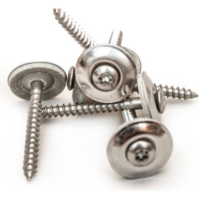Covernit Nerez vrut V2A 80 mm 4,5 x 80 mm, cena za ks