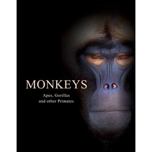 Monkeys