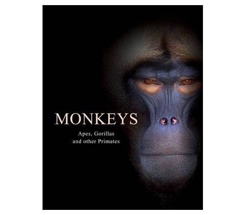 Monkeys