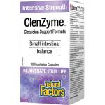 Natural Factors ClenZyme Cleansing Support Formula - Храносмилателни ензими, 90 капсули Natural Factors (1726 NF)