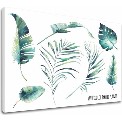 Obraz na stenu s textom Watercolor exotic plants - 80x120 cm