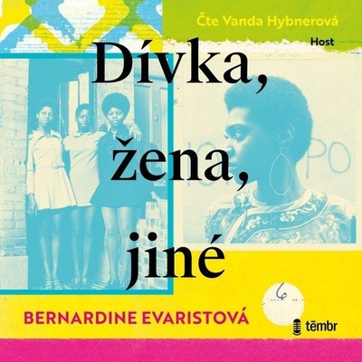 Dívka, žena, jiné - Evaristo Bernardine