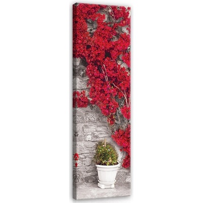 Postershop Obraz na plátně: Červená květinová zeď - 145x45 cm