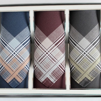 Etex Pánské látkové kapesníky - dárková sada 3 kusů M55 barevná 42x42 cm