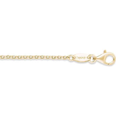 Engelsrufer Zlacený řetízek ERN-60-G