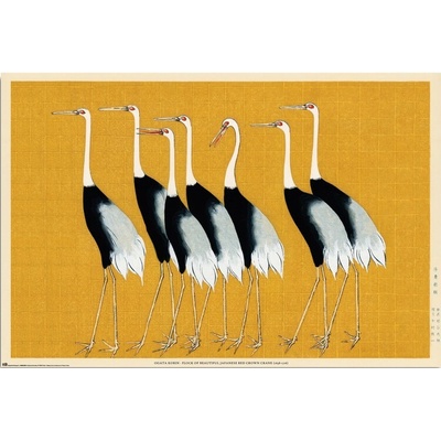Plagát, Obraz - Ogata Korin - Flock of Beatiful Japanese Red Crown Crane, 91.5 × 61 cm