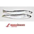 Masožravci Sleď 1 kg