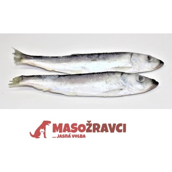 Masožravci Sleď 1 kg