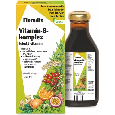 Floradix Vitamin B-Komplex 250 ml