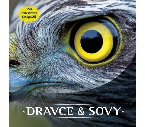 Dravce a sovy