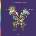Coldplay - Live In Buenos Aires (2 CD) (0190295553999)