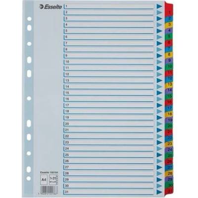 Esselte MYLAR register 1–31, A4