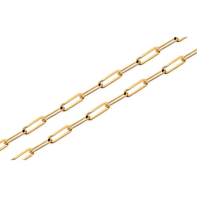 iZlato Forever Zlatý řetízek anker ve žlutém zlatě, 14K IZ24507