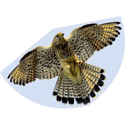 Günther Flugspiele jednošňůrový SOKOL rozpětí 920 mm