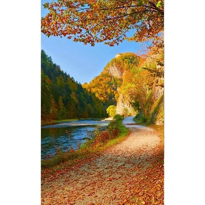 Dimex MS-2-0069 vliesová fototapeta rozměry 150 x 250 cm