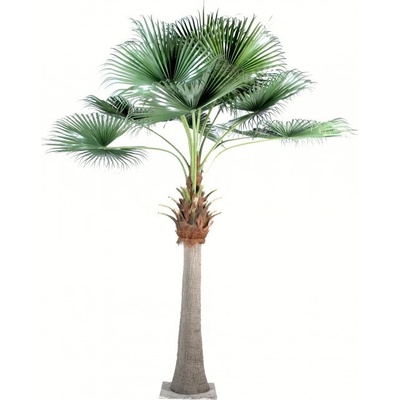 Exkluzivní umělá palma Camerus Royal 690cm