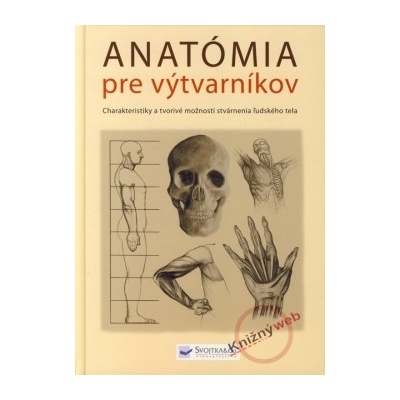 Anatómia pre výtvarníkov