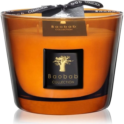 Baobab Collection Les Prestigieuses Cuir de Russie ароматна свещ 10 см