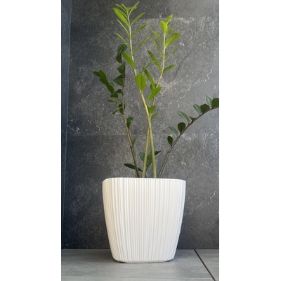 Prosperplast Kvetináč ORO DBOS300 29cm biela