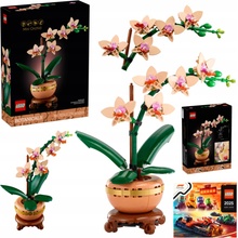 LEGO® Botanicals 10343 Miniatúrna orchidea