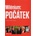 Milénium: Počátek