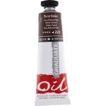 Daler Rowney Graduate Маслена боя Burnt Umber 38 ml 1 бр (117038223)
