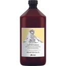 Davines NATURALTECH Purifying čistící šampon na mastné nebo suché lupy 1000 ml