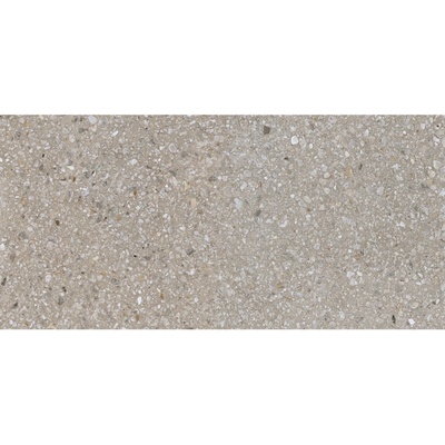 EBS Match Up 60 x 120 cm earl grey mix matná rec. 1,44m²