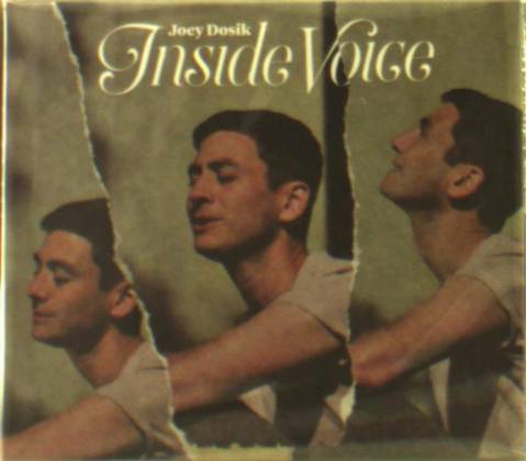 DOSIK, JOEY - INSIDE VOICE CD