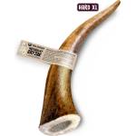 Paka Zwierzaka Натурална играчка за дъвчене, рога на елен HARD XL - 18 cm