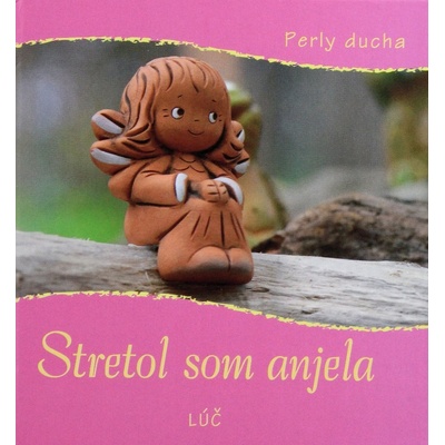 Stretol som anjela - Zborník