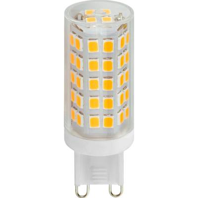 TK Lighting 3131