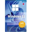 Windows 11
