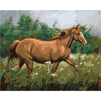 zuty Malování Podle Čísel Hnědý Kůň Na Pastvě U Lesa 80 x 100 Cm Plátno