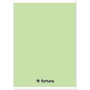 Fortuna Тетрадка с линийка FORTUNA Monocolor A/5 32 страници 21-32 клас 4-8 пастелно зелено 01.02088 (01.02088)
