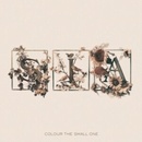 SIA: COLOUR THE SMALL ONE CD