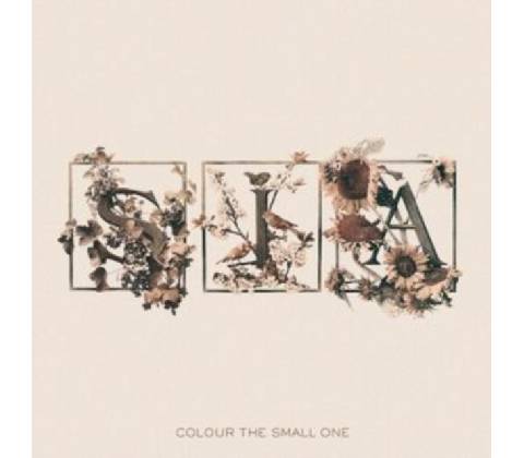 SIA: COLOUR THE SMALL ONE CD