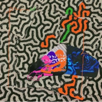 Animal Collective - Tangerine Reef Audio CD CD