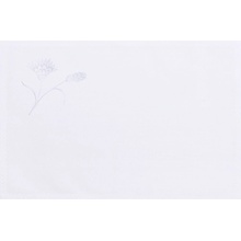 German ASTERI Rohožka 45x30 biela