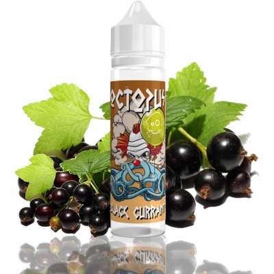 EXPRAN GmbH Octopus Black Currant 10 ml
