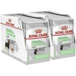 Royal Canin Digestive Care Dog Loaf 24 x 85 г