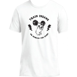 FITNESS 1 T-Shirt Train Insane XL
