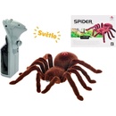 Wiky Chlupatý pavouk RC 15 cm