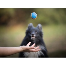Chuckit! Míček Ultra Squeaker Ball Small 5 cm 2 ks