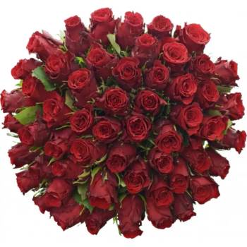 Kytice 55 rudých růží RED TORCH 70cm